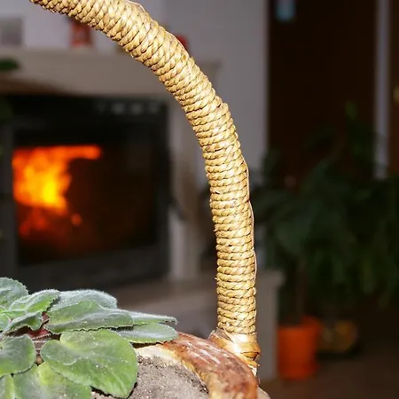 Nevena Apartamento Bansko